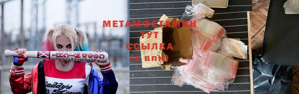 ГАЛЛЮЦИНОГЕННЫЕ ГРИБЫ Волосово