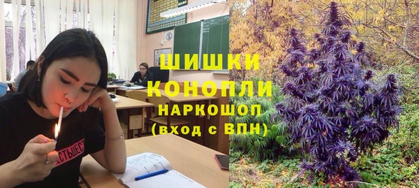 ГАЛЛЮЦИНОГЕННЫЕ ГРИБЫ Волосово