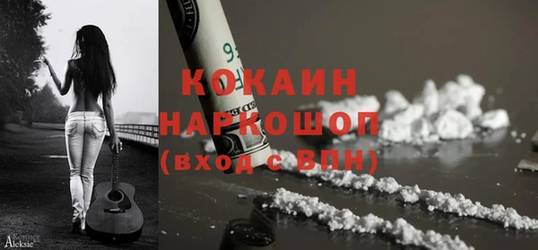 прущие грибы Володарск