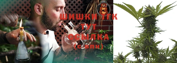 прущие грибы Володарск