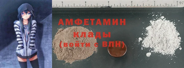прущие грибы Володарск